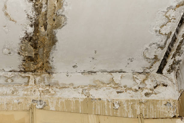 Professional Water damage restoration in Wise, VA